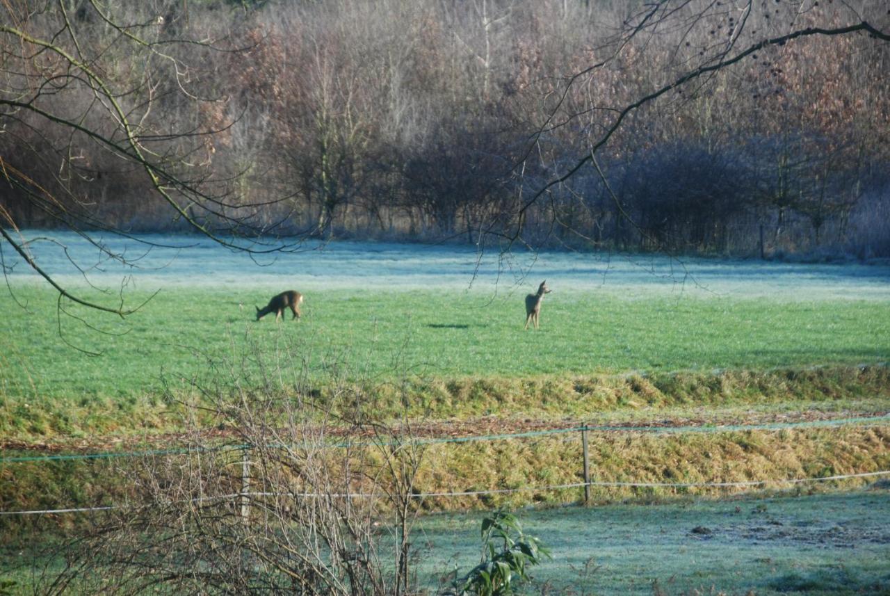 B&Btob Steengroeve Winterswijk Esterno foto